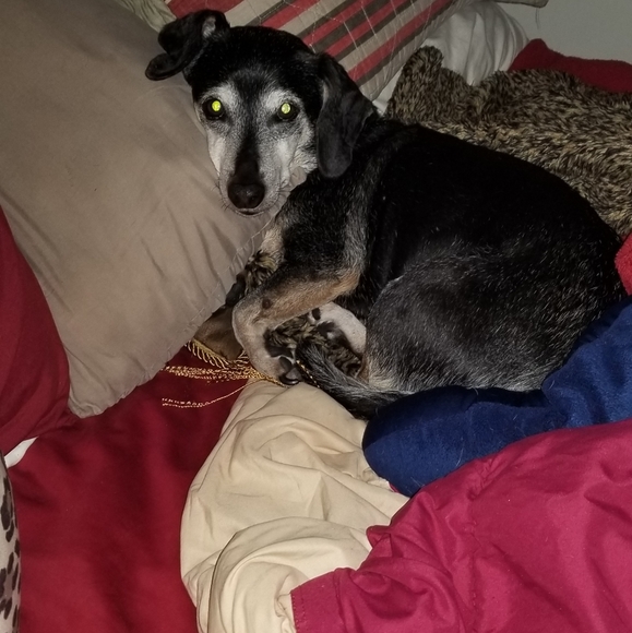 Meet your Posher, KC - Picture 2 of 2